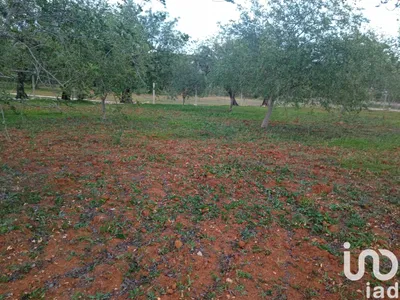 Fotografia 5 de Terreno de 2680 m² em Boliqueime