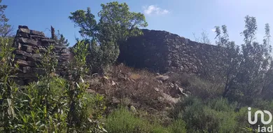 Terreno urbano  em Salir