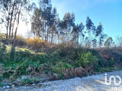 Fotografia 6 de Terreno de 3000 m² em Campo E Tamel (São Pedro Fins)