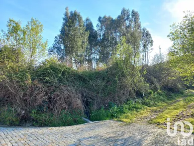 Terrain  à Aborim