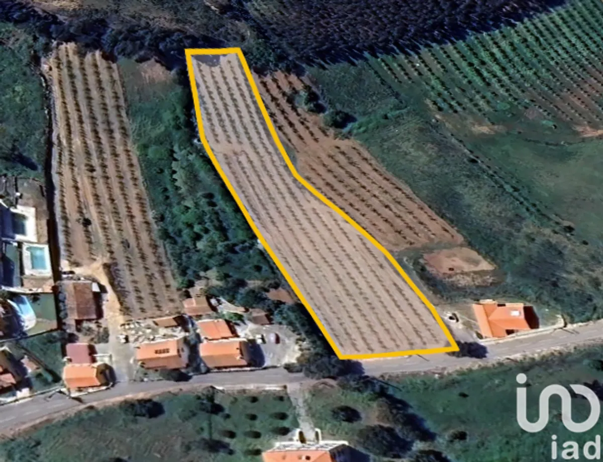 Terreno de 4574 m² em Cadaval e Pêro Moniz