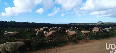 Terrain  à Vila do Bispo e Raposeira