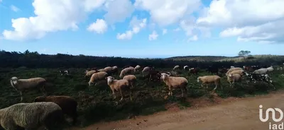 Fotografia 3 de Terreno de 715 460 m² em Vila do Bispo e Raposeira