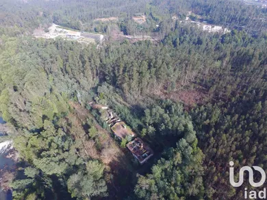 Land  in Pinheiro da Bemposta, Travanca e Palmaz