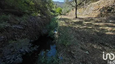 Terrain  à Álvaro