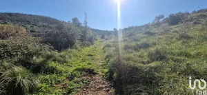 Land at Venda do Pinheiro e Santo Estêvão das Galés