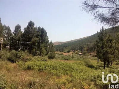 Fotografia 7 de Terreno de 49 048 m² em Cortes do Meio