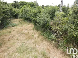 Terreno urbano  em Lagoa (Nossa Senhora do Rosário)