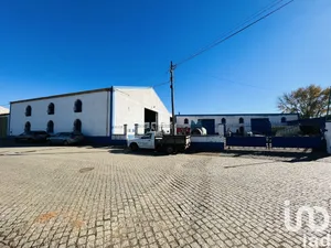 Murs commerciaux   à Cabeça Gorda