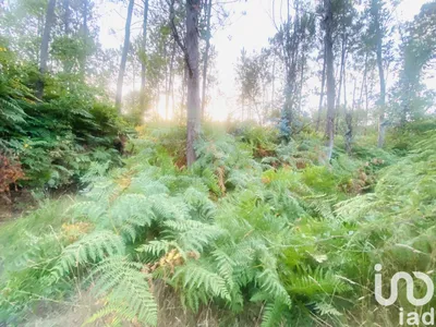 Fotografia 3 de Terreno de 612 m² em Sapardos