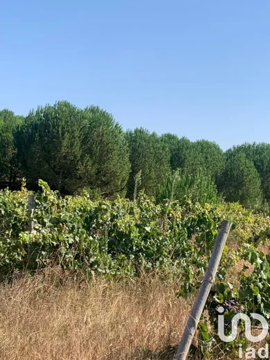 Terreno em Poceirão e Marateca