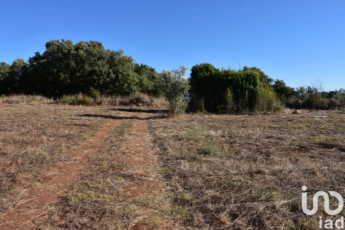 Terreno urbano de 8120 m² em Areias e Pias