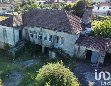 Farm  in Fontão