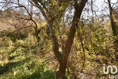Land at Freixianda, Ribeira do Fárrio e Formigais