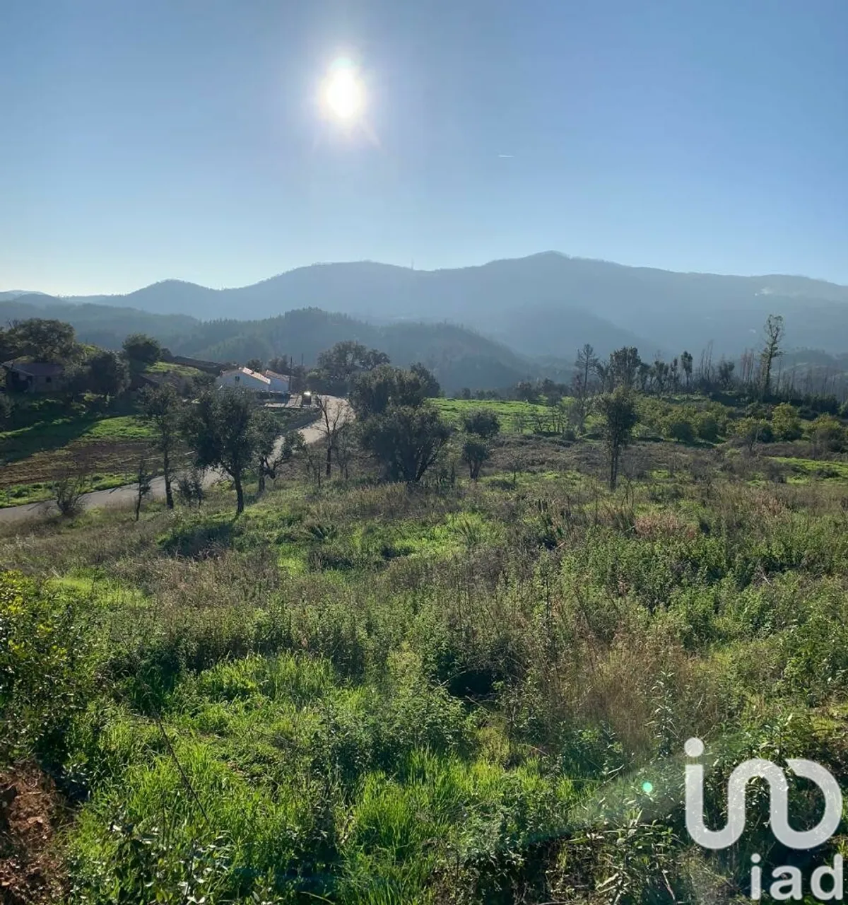 Terreno de 5480 m² em Monchique