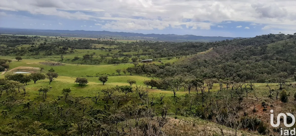 Terreno de 920 000 m² em Cercal