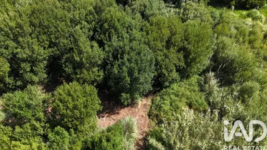 Land  in Carvoeira