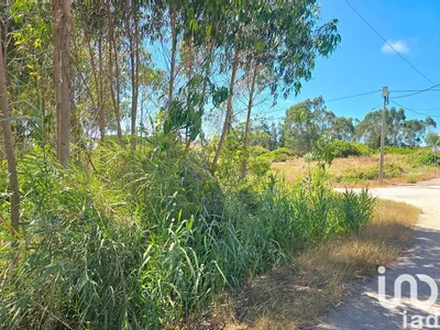 Fotografia 3 de Terreno de 2120 m² em Lourinhã e Atalaia