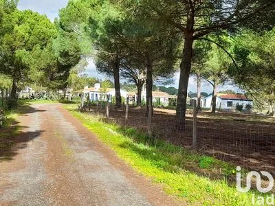Fotografia 3 de Terreno de 41 000 m² em Grândola e Santa Margarida da Serra