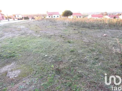 Terreno em Asseiceira