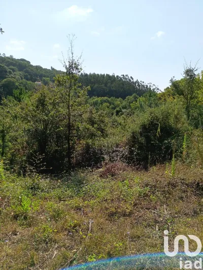 Fotografia 3 de Terreno de 12 200 m² em Alcobaça e Vestiaria