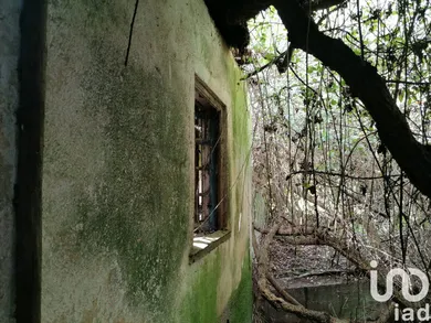 Maison de campagne à Caxarias