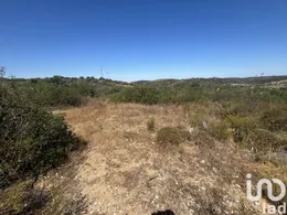 Land  in Barão de São Miguel