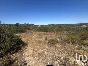 Land  in Barão de São Miguel