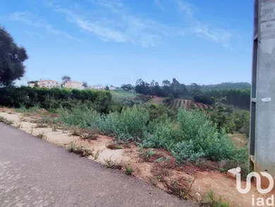 Terreno  em Cadaval e Pêro Moniz