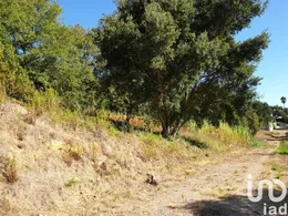 Land in Alcobaça e Vestiaria