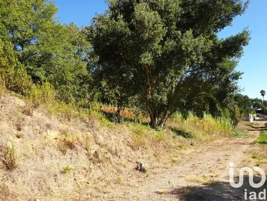 Terrain  à Alcobaça e Vestiaria