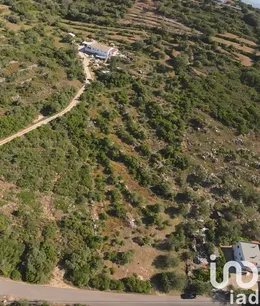 Terrain à Conceição e Estoi