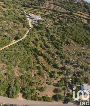 Land at Conceição e Estoi