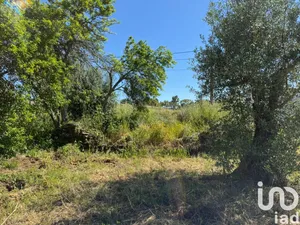 Land  at Casais e Alviobeira