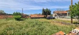 Land  in Santo André de Vagos