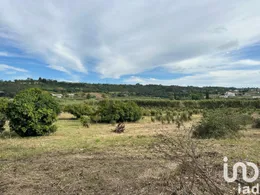 Land in Santa Maria, São Pedro e Sobral da Lagoa