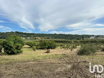 Fotografia 3 de Terreno de 24 000 m² em Santa Maria, São Pedro e Sobral da Lagoa