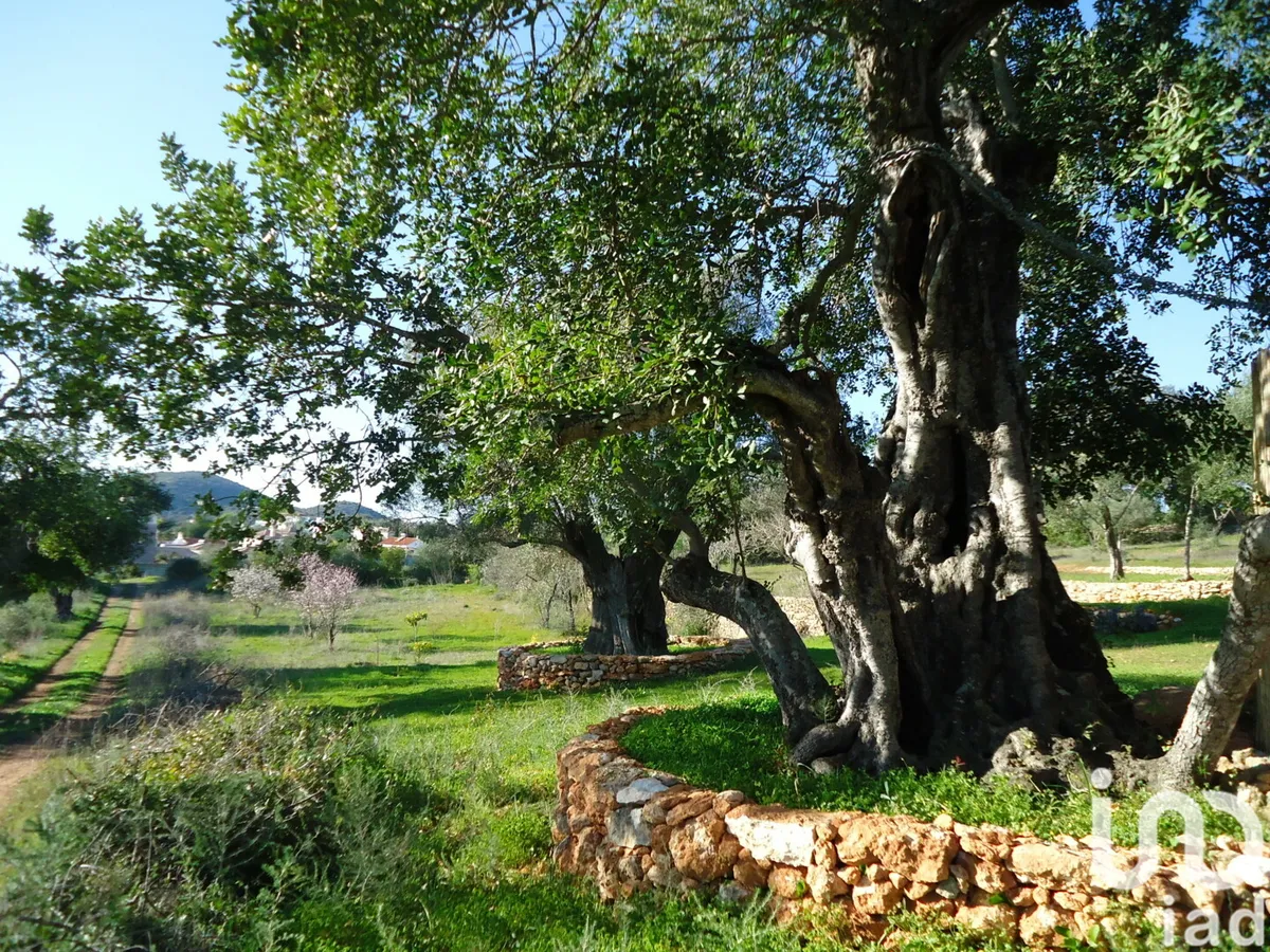 Terreno urbano de 4550 m² em Almancil