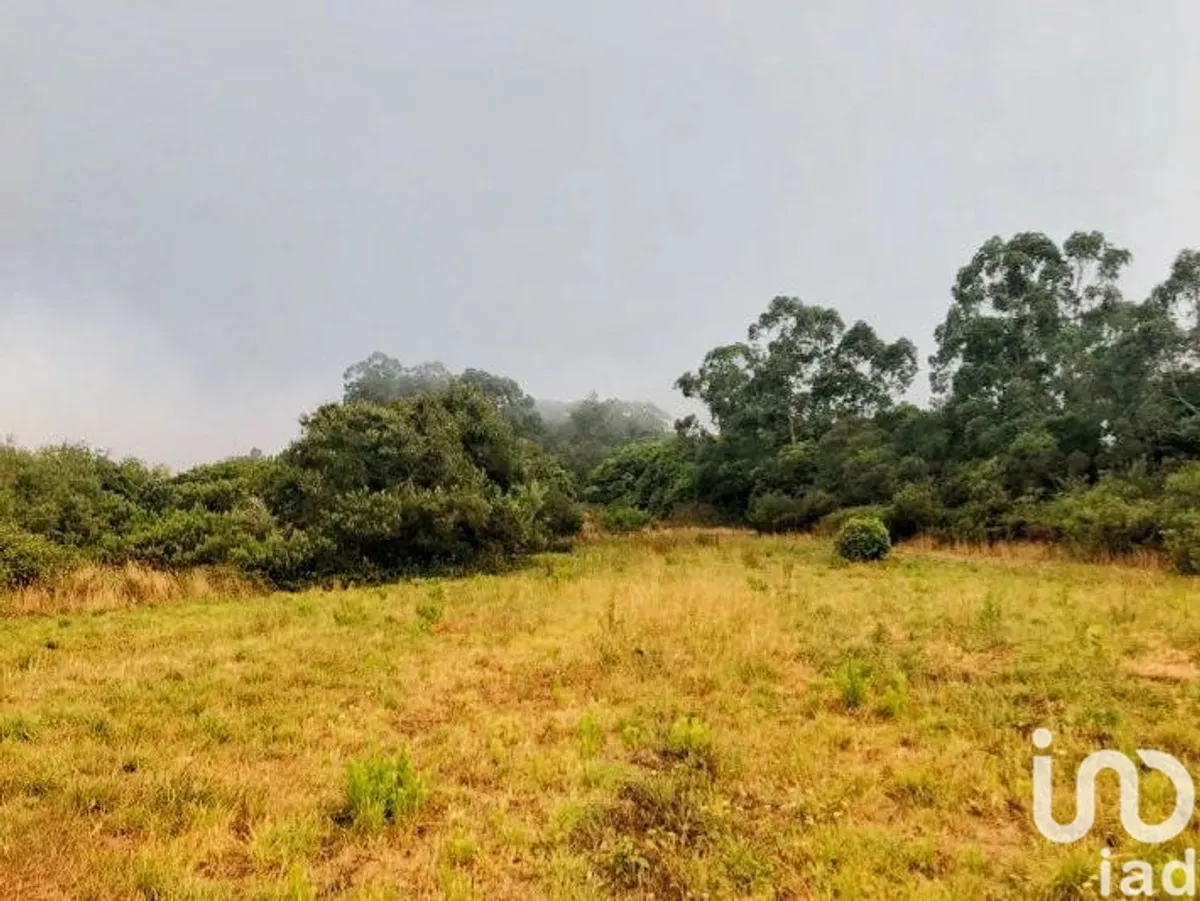 Terreno de 11 640 m² em Colares