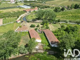 House  in Golpilheira