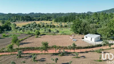 Fotografia 7 de Terreno rústico de 930 m² em Espinhal