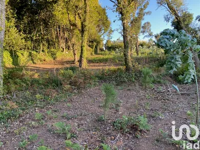 Terreno  em São Félix da Marinha