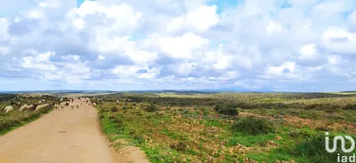 Fotografia 7 de Terreno de 19 000 m² em Vila do Bispo e Raposeira