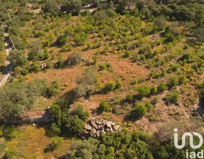 Fotografia 3 de Terreno de 7320 m² em Conceição e Estoi