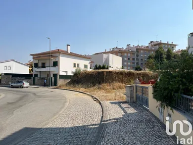 Land at Castelo Branco