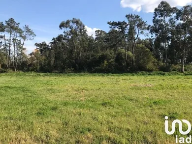 Terreno urbano  em Calvão