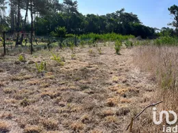 Land  in Antas