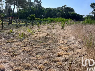 Terreno  em Antas