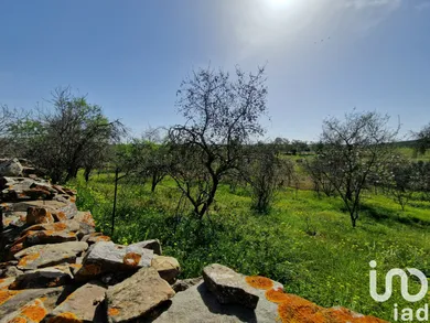 Terreno  em Santana de Cambas