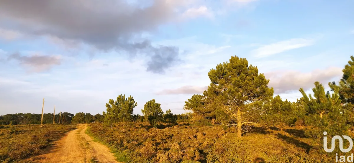 Terreno de 123 840 m² em Vila do Bispo e Raposeira